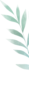 Vector 5