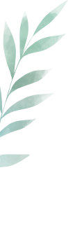 Vector 6
